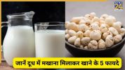 makhana soaked in milk benefits