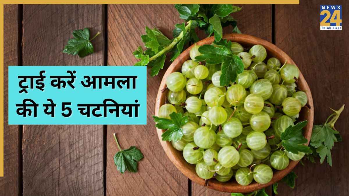 Homemade Chutney: इम्यूनिटी भी बढ़ेगी और स्वाद भी, ट्राई करें Amla की 5 स्वादिष्ट चटनी, मिनटों में हो जाएगी रेडी