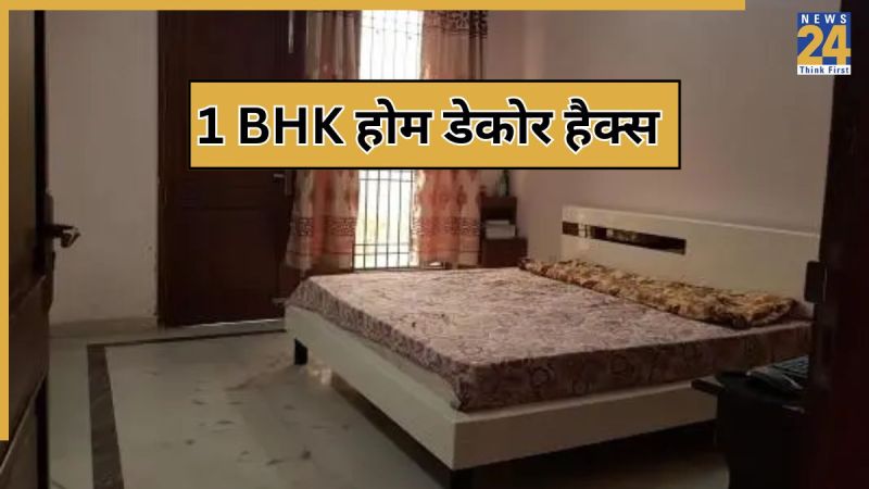 1 BHK Renovation Ideas