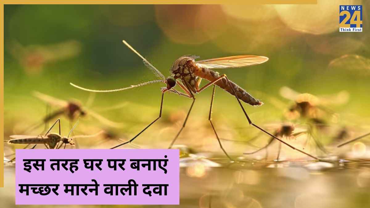 घर की रसोई में छुपा है मच्छरों का इलाज, ऐसे बनाएं नेचुरल मच्छर मारने वाली दवा, 100% दिखेगा असर