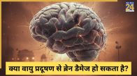 Air Pollution Brain Damage