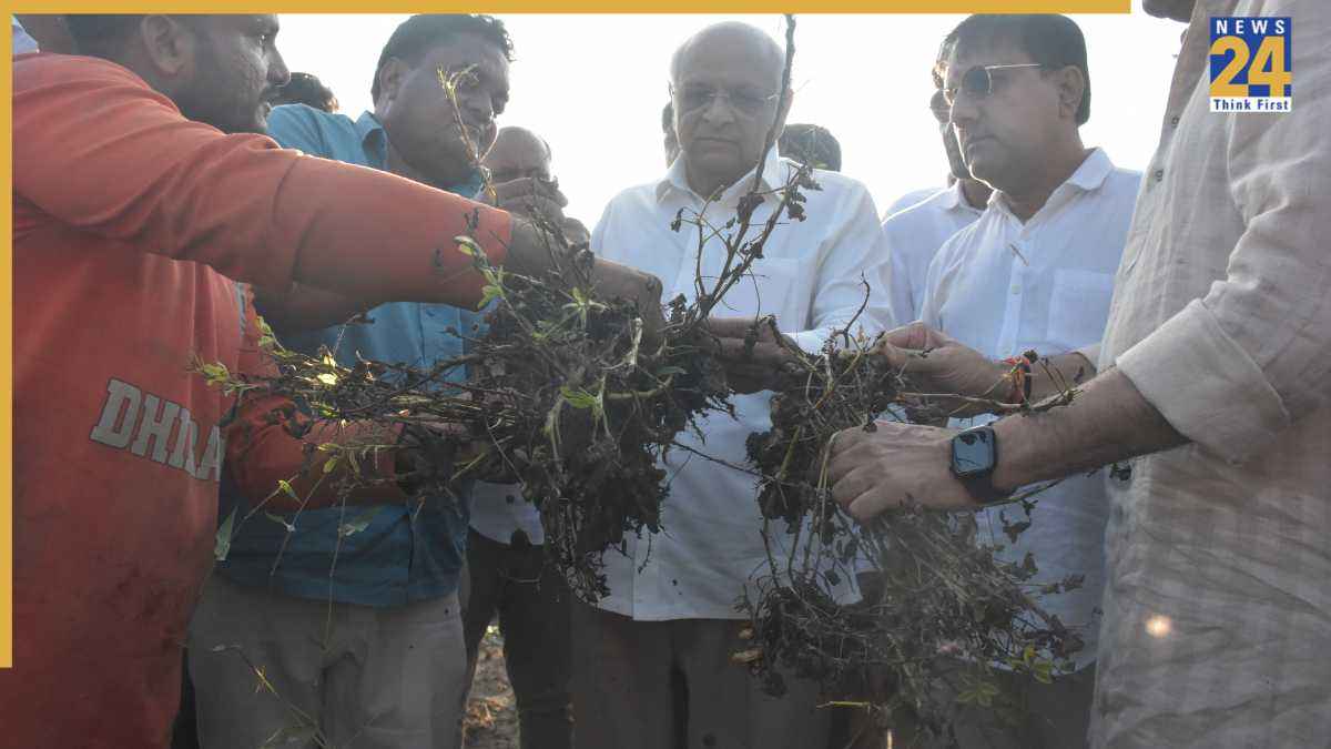 बेमौसम बारिश से प्रभावित क्षेत्रों के किसानों के साथ खड़े हुए CM भूपेंद्र पटेल, 4800 से अधिक टीमें कर रहीं सर्वेक्षण