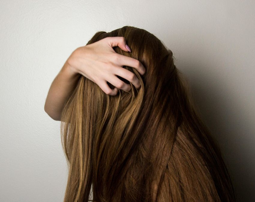 Curry Leaves-1-2-3-4