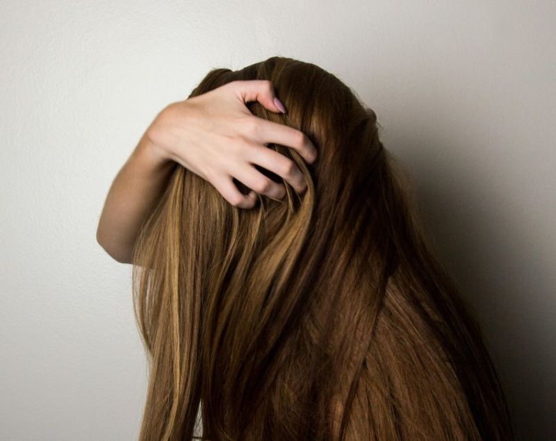 Curry Leaves Curry Leaves-1-2-3-4