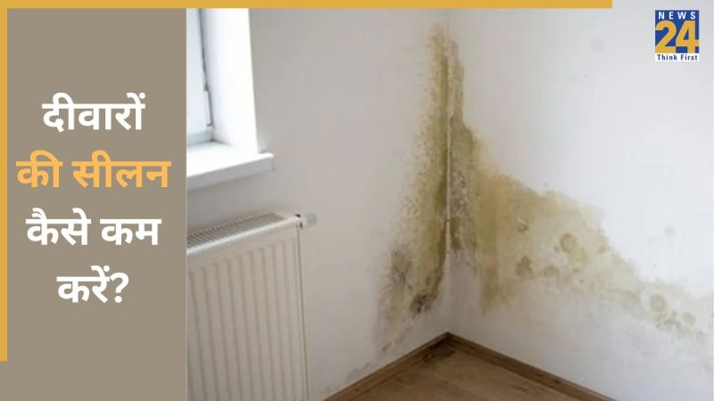 Dampness Wall Remedies
