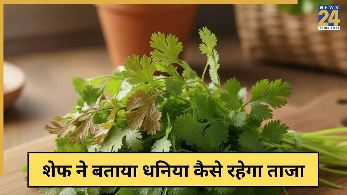 धनिया को लंबे समय तक कैसे स्टोर करें? शेफ ने बताया फ्रिज में और बिना फ्रिज के धनिया को कैसे ताजा रखें