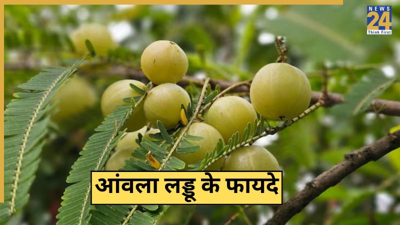 Eating Benefits of Amla Laddu