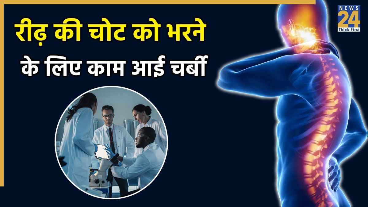 स्पाइनल इंजरी भी आसानी से होगी ठीक, बॉडी फैट आएगा काम, वैज्ञानिकों की रिसर्च में नई खोज