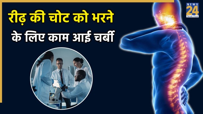 body fat turn into bone heal spinal fractures study