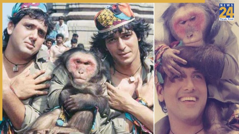 Aankhen Movie monkey, drunkard monkey, monkey fees For Aankhen