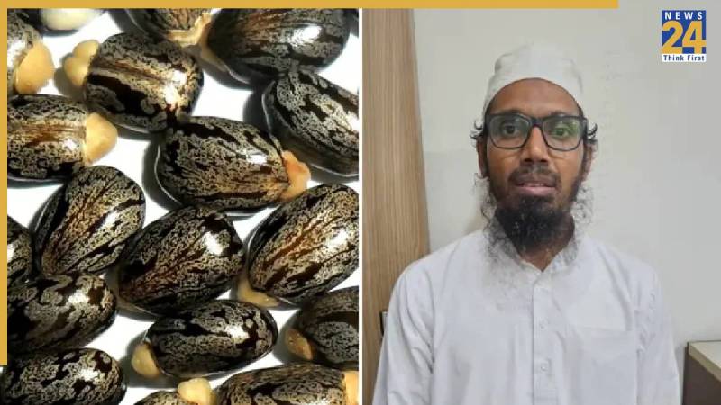 Gujarat Terror Conspiracy