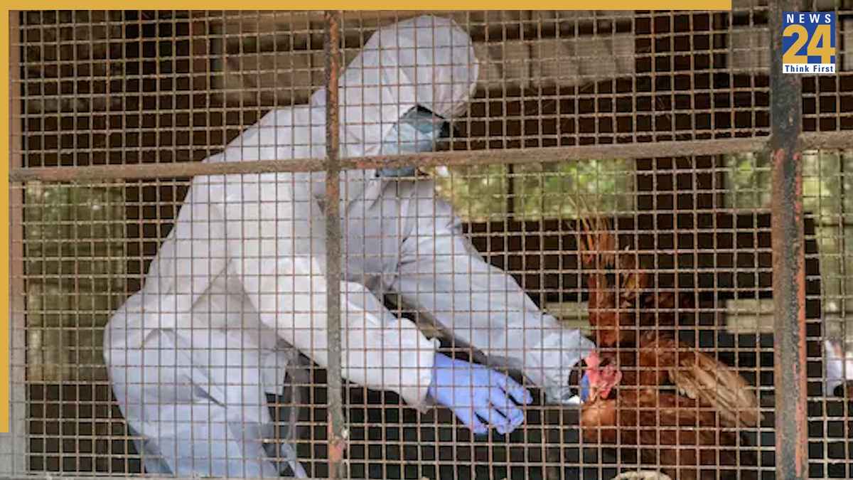 H5N5 बर्ड फ्लू से हुई दुनिया में पहली इंसानी मौत, क्या कोरोना वायरस की तरह ये भी है खतरनाक? जानिए