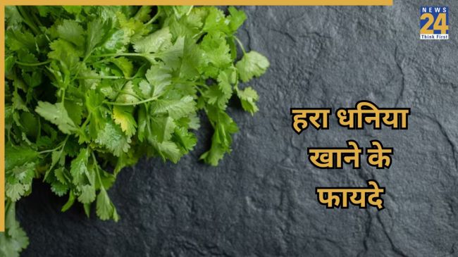 Hara dhaniya Khane ke fayde