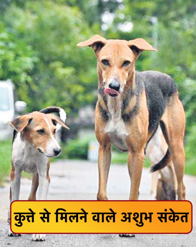 Kutte Ke Shubh Ashubh Sanket-1-2