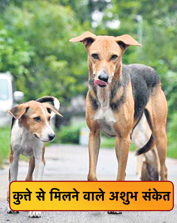 Kutte Ke Shubh Ashubh Sanket Kutte Ke Shubh Ashubh Sanket-1-2