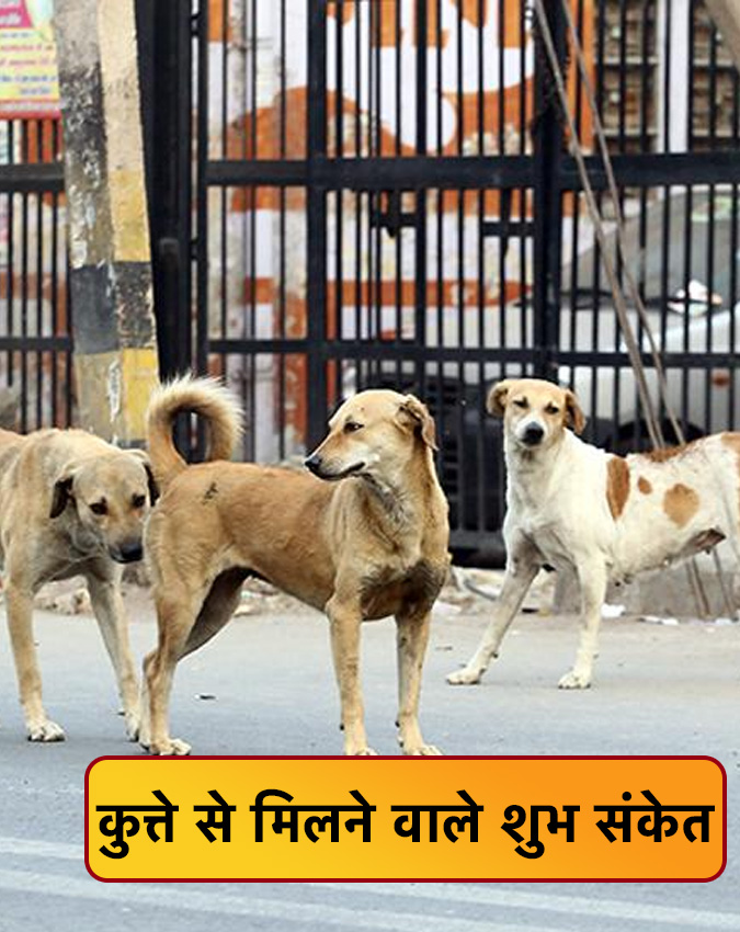 Kutte Ke Shubh Ashubh Sanket Kutte Ke Shubh Ashubh Sanket-1-2-3-4-5