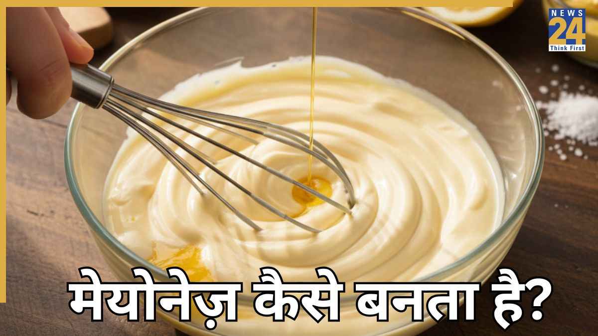 मेयोनेज़ किस चीज से बनता है? यहां जानिए मोमोज के लिए कौन सी मेयोनेज़ का उपयोग किया जाता है