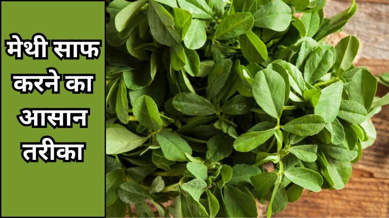Methi Jaldi Saaf Karne Ka Tarika how to clean methi leaves fast