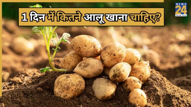 Potato Eating Benefits and Side Effects