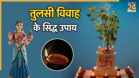 Tulsi Vivah 2025 Upay
