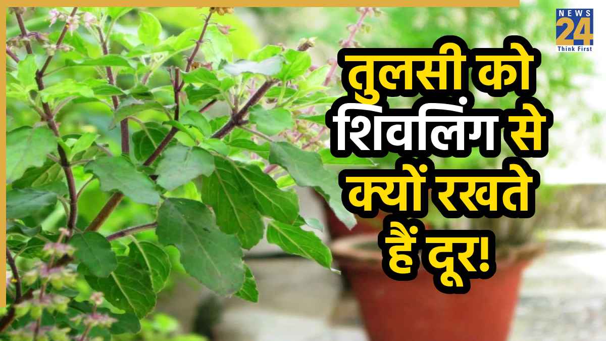Tulsi ke Niyam: तुलसी के पास रखी ये 5 चीजें, तो बनते-बनते बिगड़ जाएंगे सारे काम