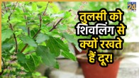 Tulsi-ke-Niyam