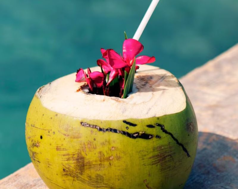 गर्मी में ताकत और हाइड्रेशन का राज. Image Source Freepik गर्मी में ताकत और हाइड्रेशन का राज. Image Source Freepik-1-2