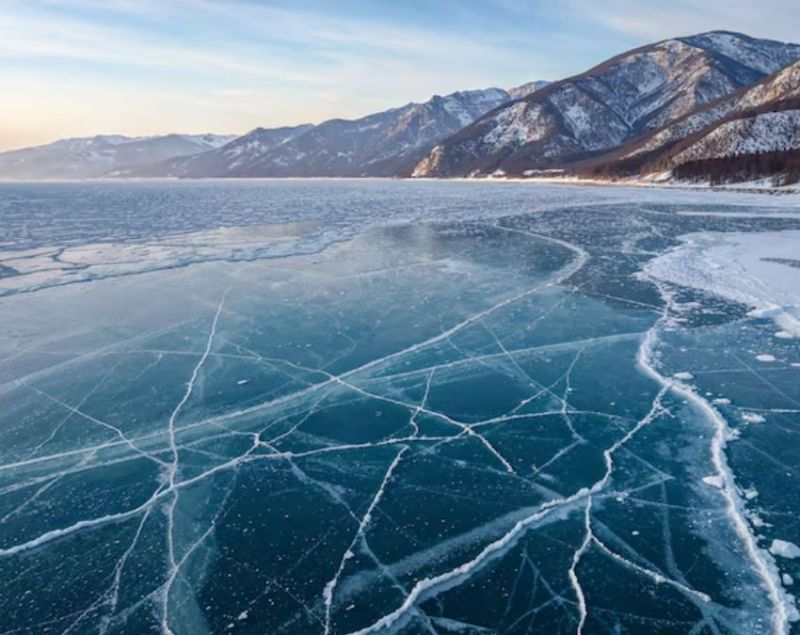 Places with no cockroaches Places with no cockroaches-1-2-3