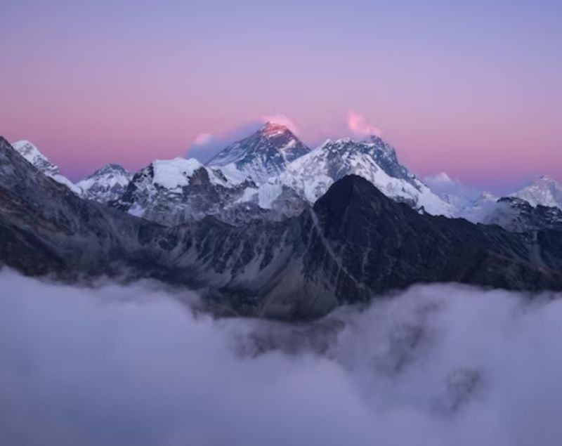 Places with no cockroaches Places with no cockroaches-1-2-3-4