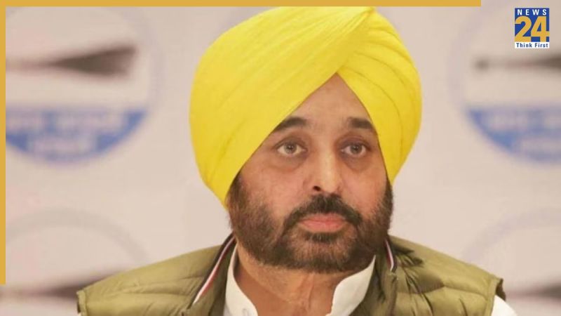 Untitled design (25)