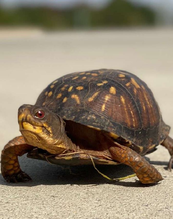 Vastu Tips-1-2-3-4-5-6