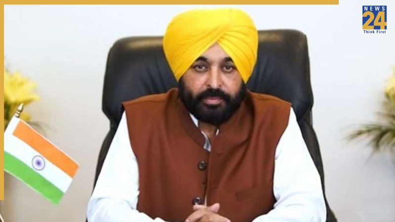 Untitled design (31)