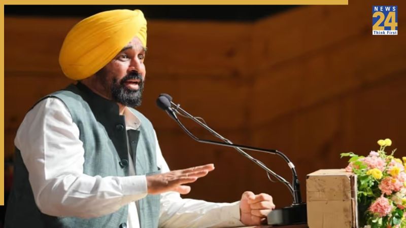 Untitled design (33)