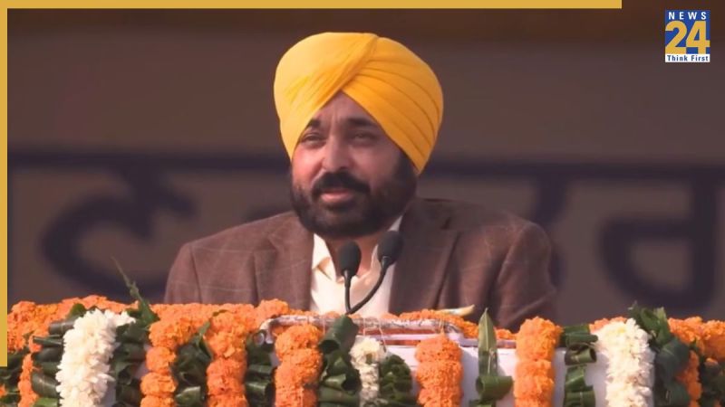 Untitled design (34)