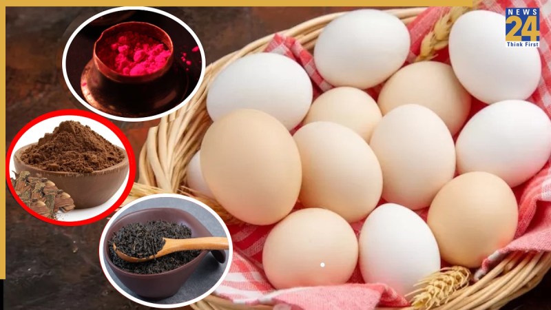 WhatsApp Image 2025-11-28 at 9.18.16 PM