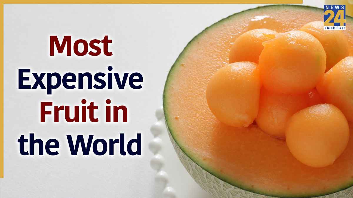 Yubari King Melon