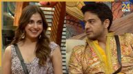 Bigg boss 19 popular contestants