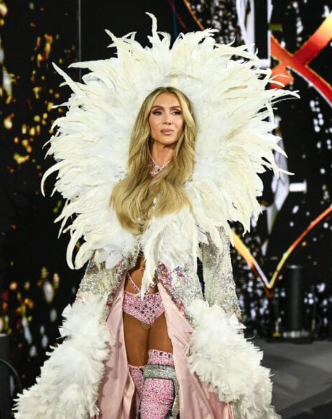 WWE Beautiful WWE Stars Worked Survivor Series-1-2-3