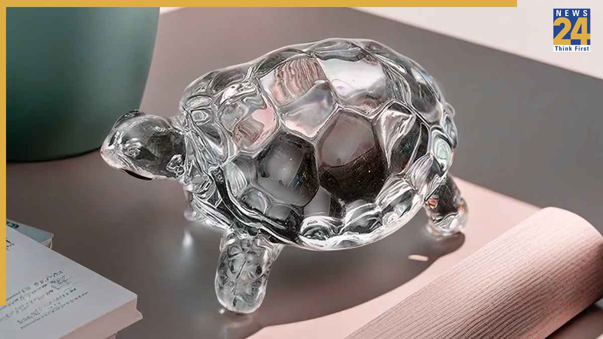 Feng Shui Tips: घर में इन जगहों पर न रखें क्रिस्टल का कछुआ, देखते ही देखते हाथ हो जाएगा खाली