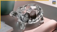crystal-turtle-feng-shui-tips