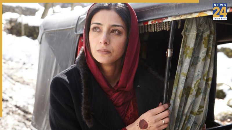 haider shahid kapoor haider on Z5