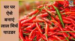 how to make red mirch powder from green chillies
