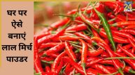 how to make red mirch powder from green chillies