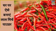 how to make red mirch powder from green chillies