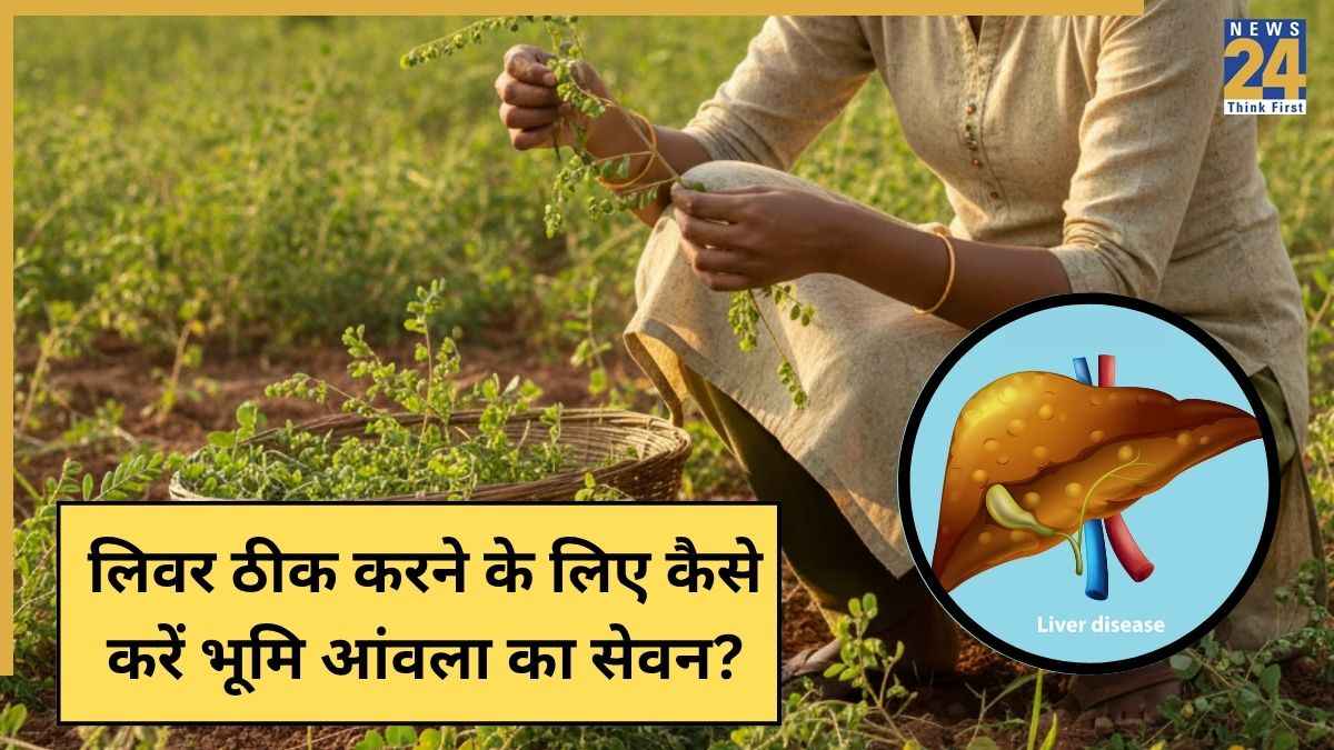 liver bhumi amla
