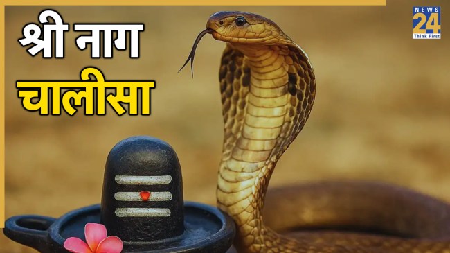 Shri Nag Devta Chalisa in Hindi