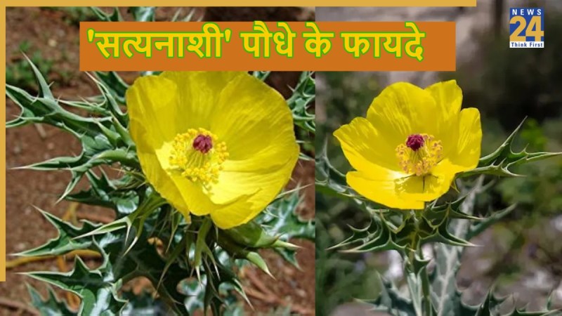 source-hiv aids hiv aids-1