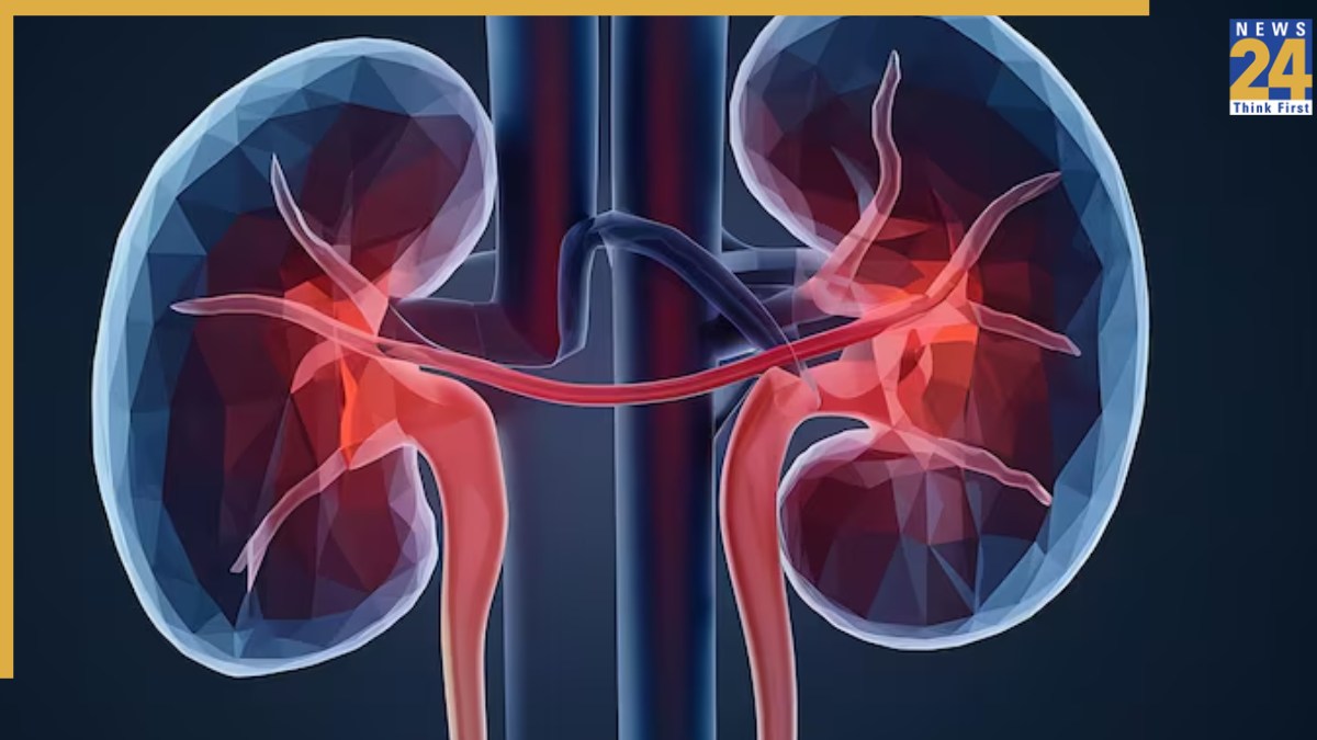 kidney health tips-1