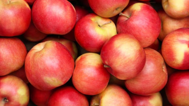 source-uric acid foods -1-2-3-4