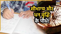 study-vastu-tips
